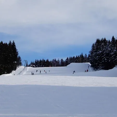 韦尔贝格度假屋 * 韦伯格