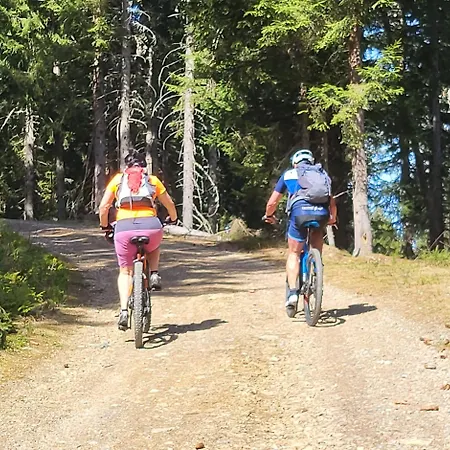 韦尔贝格度假屋 *