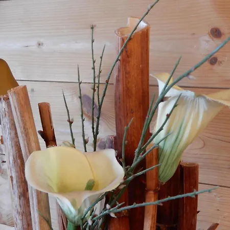 韦尔贝格度假屋 *